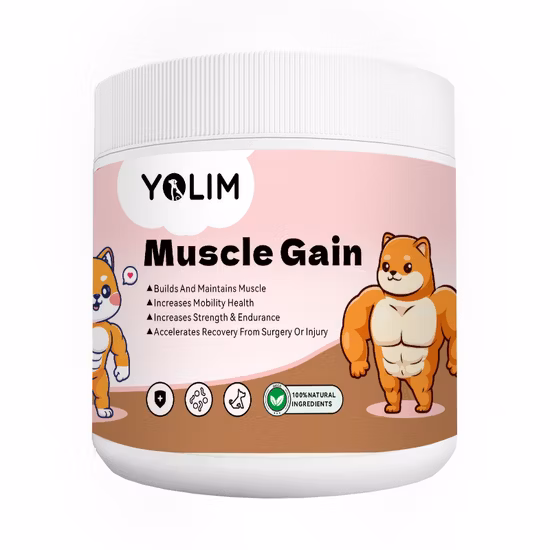 Muscle Gain Chews Integratore alimentare giornaliero per cani ad alto contenuto proteico con aminoacidi Integratore per animali domestici OEM